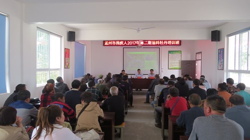 图为焦作孟州市残疾人2017年第二期油料牡丹培训班 图为焦作孟州市残疾人2017年第二期油料牡丹培训班