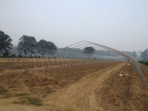 图为在建蔬菜大棚 图为在建蔬菜大棚