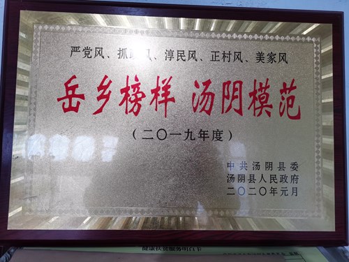 图为获得汤阴模范奖牌 图为获得汤阴模范奖牌