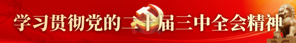 学习贯彻党的二十届三中全会精神